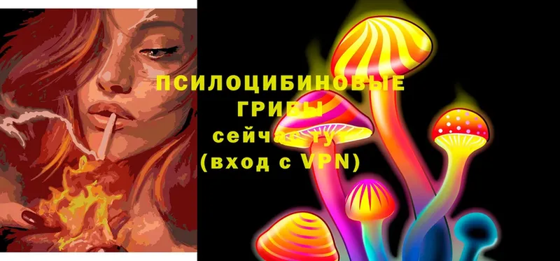 Галлюциногенные грибы Cubensis  даркнет сайт  Осташков 